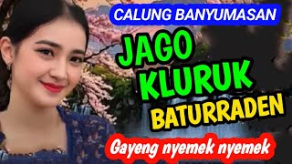 Download Lagu JAGO KLURUK BATURRADEN CALUNG BANYUMASAN GAYENG NYEMEK NYEMEK KAGEM JAMPI SAYAH. MP3