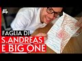 La faglia di Sant'Andrea e il Big One, il pericoloso terremoto che distruggerà la California