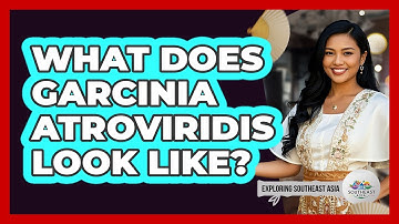 What Does Garcinia Atroviridis Look Like?