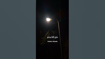 سورة النبأ ||| القاري عبدالرحمن مسعد