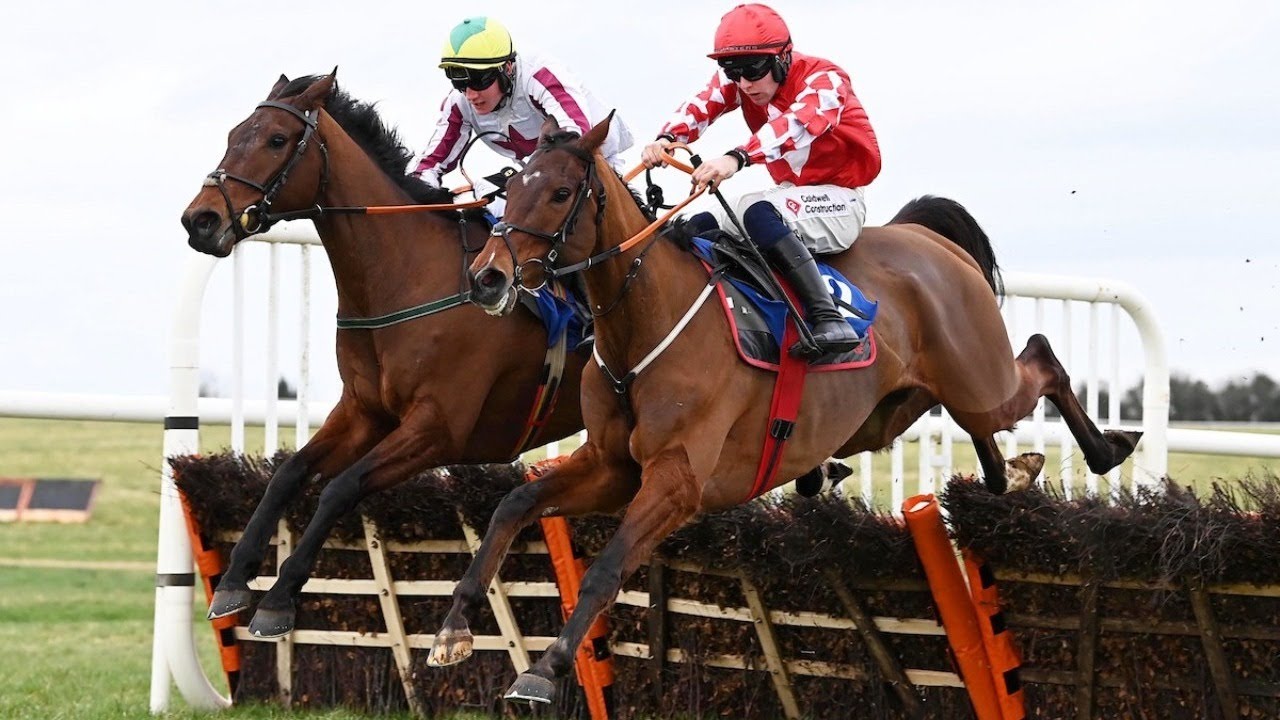 Thurles Racing SA FUREUR prevails in dramatic Michael Purcell Memorial at Thurles ...