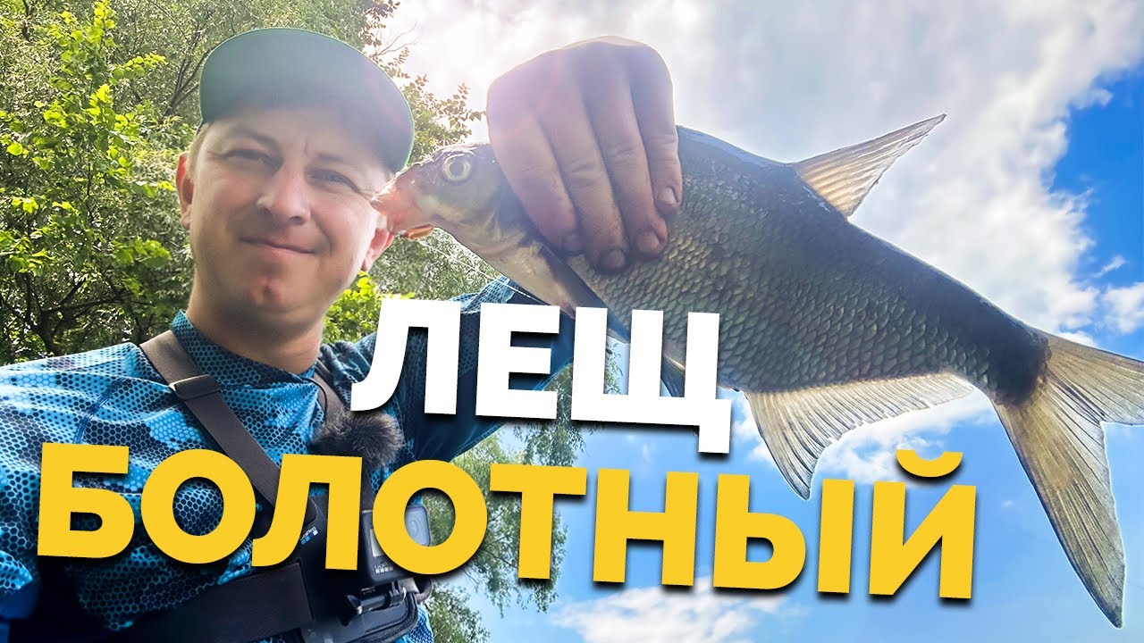 ⚠️ ФИДЕР на БОЛОТЕ ️ Рыбалка без течения! Болотные лещи! Трудовой фидер ...