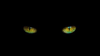 Beguiled by the Snake