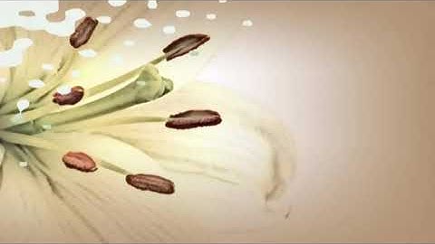 [BEAT]  Nổi Trống Lên Các Bạn Ơi - NS Phạm Tuyên Hợp xướng TTNT