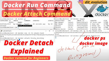 Docker Run, Docker Attach, Docker Image, docker PS and Detach Command | Docker Basic Commands