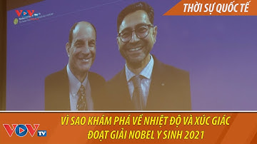 Vì sao khám phá về nhiệt độ và xúc giác đoạt giải Nobel Y sinh 2021