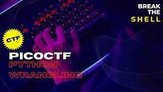 PicoCTF- Python Wrangling