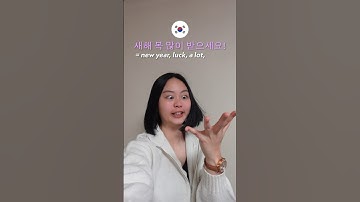 LITERALLY Happy New Year in different languages 😂🇺🇸🇮🇩🇨🇳🇩🇪🇰🇷