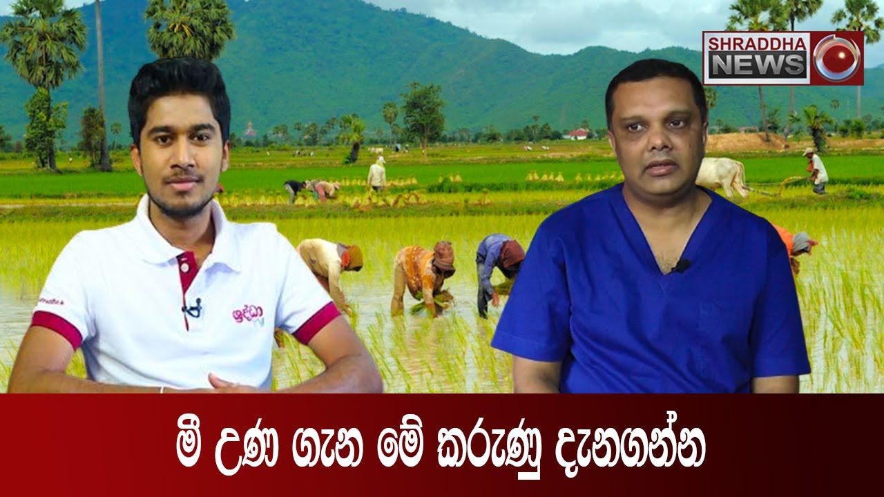 මී උණ ගැන මේ කරුණු දැනගන්න - ඩොක්ටගෙන් අහන්න…(2022-08-28)