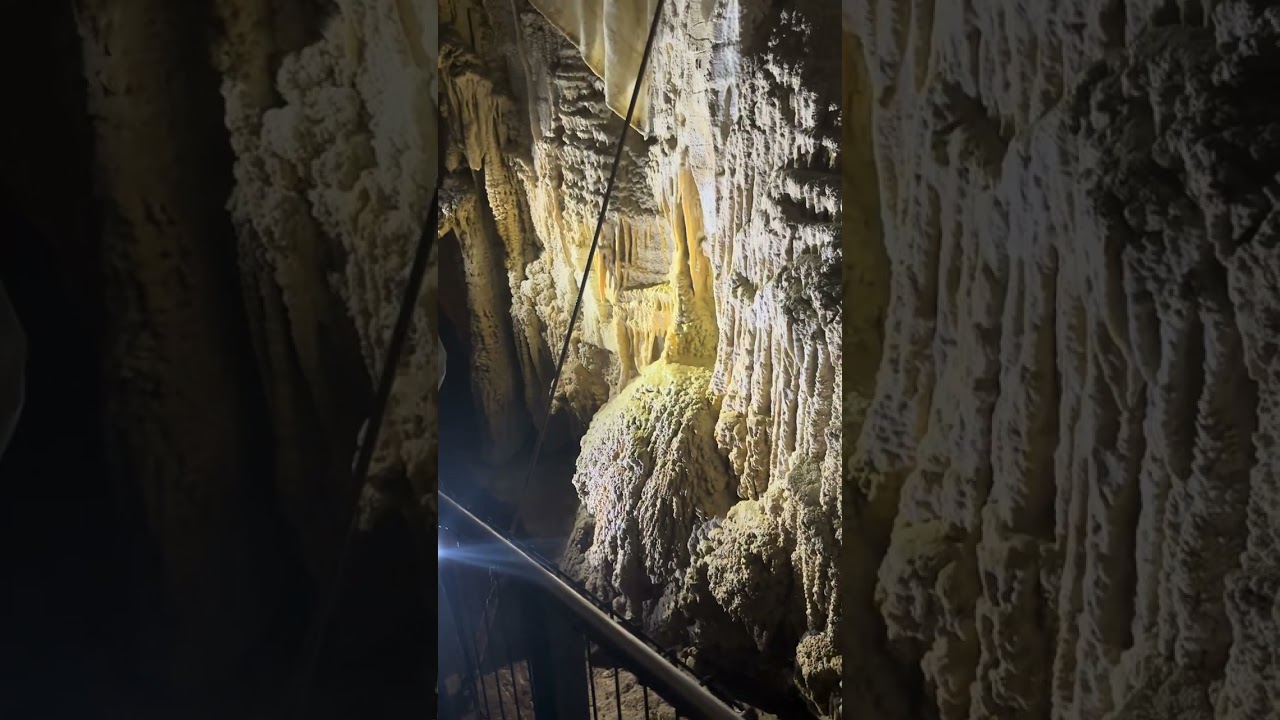 Ruakuri and Glowworm Cave in Waitomo New Zealand / 2023