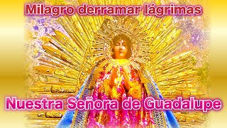 Nuestra Señora de Guadalupe.Milagro | derramar lágrimas.Oración de la mañana.