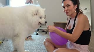 Information Alinity Goes Shopping! 🛍️💸 Update