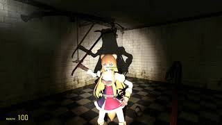 [GMOD] Nosocomephobia