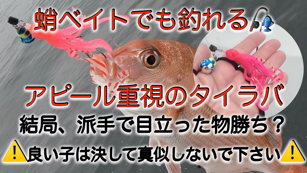 良い子は決して真似しないで下さい。蛸ベイトでも釣れます！アピール重視のタイラバ、結局目立った物勝ち？
