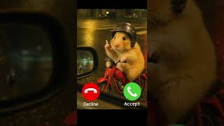 Benim Telefon Çalıyor 📳 シ゚