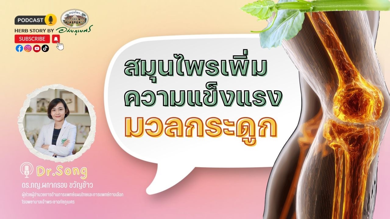 สมุนไพร เพิ่มความแข็งแรง มวลกระดูก lPodcastอภัยภูเบศร (2026)