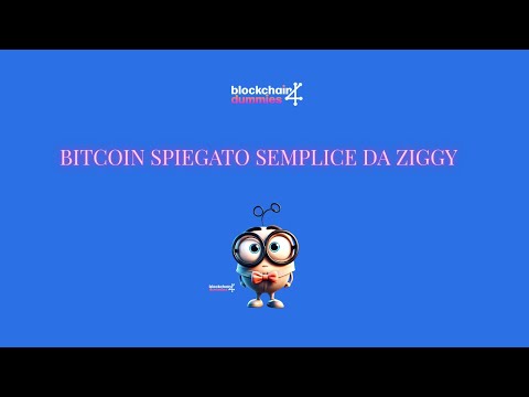 Cos’è Bitcoin? Spiegato semplice da Ziggy – Blockchain4Dummies