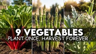 Too Lazy To Garden? 9 Vegetables You Plant ONCE and They Come Back Every Year