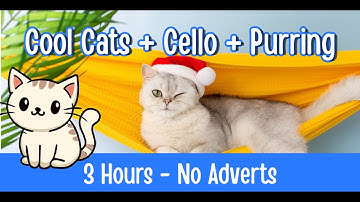 Cool Cats Cello & Purring for Cats & Kittens | Calming Cat Music & Relaxing Sounds (3 Hours)