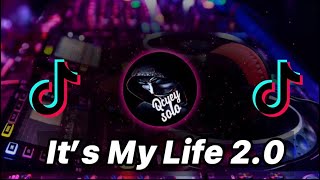 DJ ITS MY LIFE x INDIA MASHUP 2 x DJ MAIMUNA PODING VIRAL 2021 REMIX || QCUEY MAKERSZ 2.0 🎶