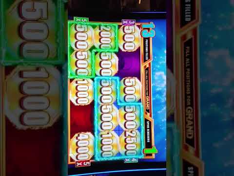 BIG BUFFALO BONUS on Coin Trio!! 🦬🤑 #slot #casino #gaming #fyp #buffalo #fypシ゚viral