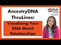 AncestryDNA ThruLines