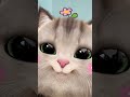 khud glt raste pe chalte h😂🤦#catvideos#viralvideo#funny#trendingreels#trendingshorts#cutekittyworld