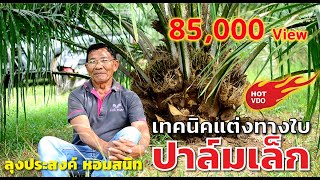 เทคนิคแต่งทางใบปาล์มเล็ก ของลุงประสงค์ หอมสนิท