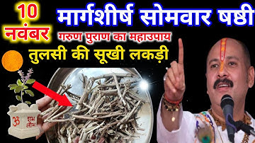 10 नवंबर मार्गशीर्ष सोमवार षष्ठी तिथि को तुलसी की सूखी लकड़ी वाला उपाय जरूर करें🙏पं प्रदीप मिश्रा जी