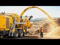 Inside the World’s Fastest Monster Wood Chipper | Trees Destroyed in Seconds