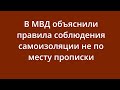 Новости — В МВД объяснили правила соблюдения самоизоляции не по месту прописки