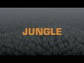 The Blaze X Endel JUNGLE Wind Down Soundscape mp3