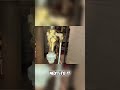 Antique Boiler's Secrets: Gas Flow & Old Tech Explained! #shorts