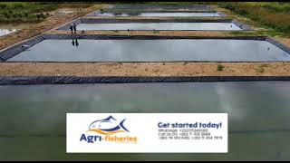 Aquaculture,Fish Farming in Zimbabwe