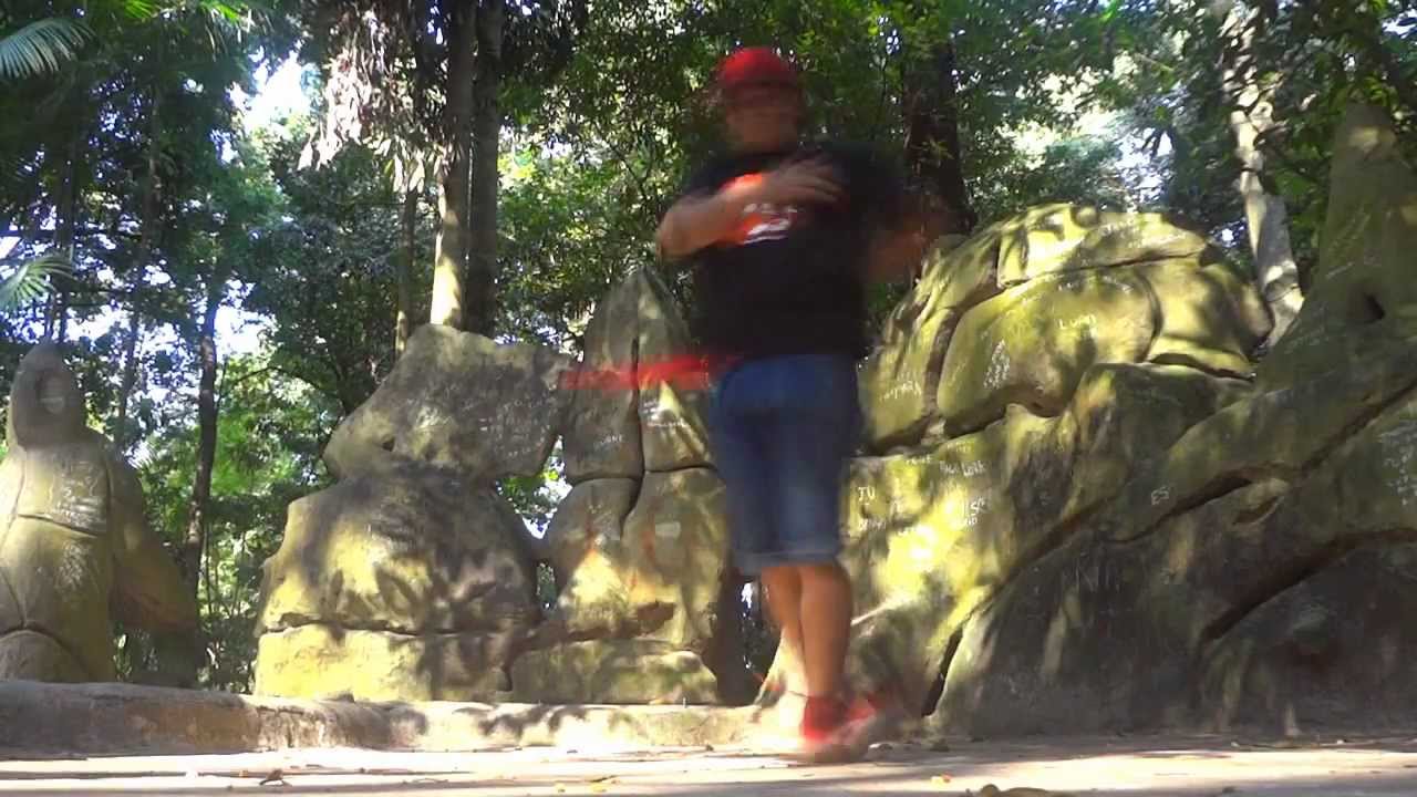 THE MAGNIFICENT'S - ALL FORMS TO DANCE / ALL MEMBERS   [OFICIAL]