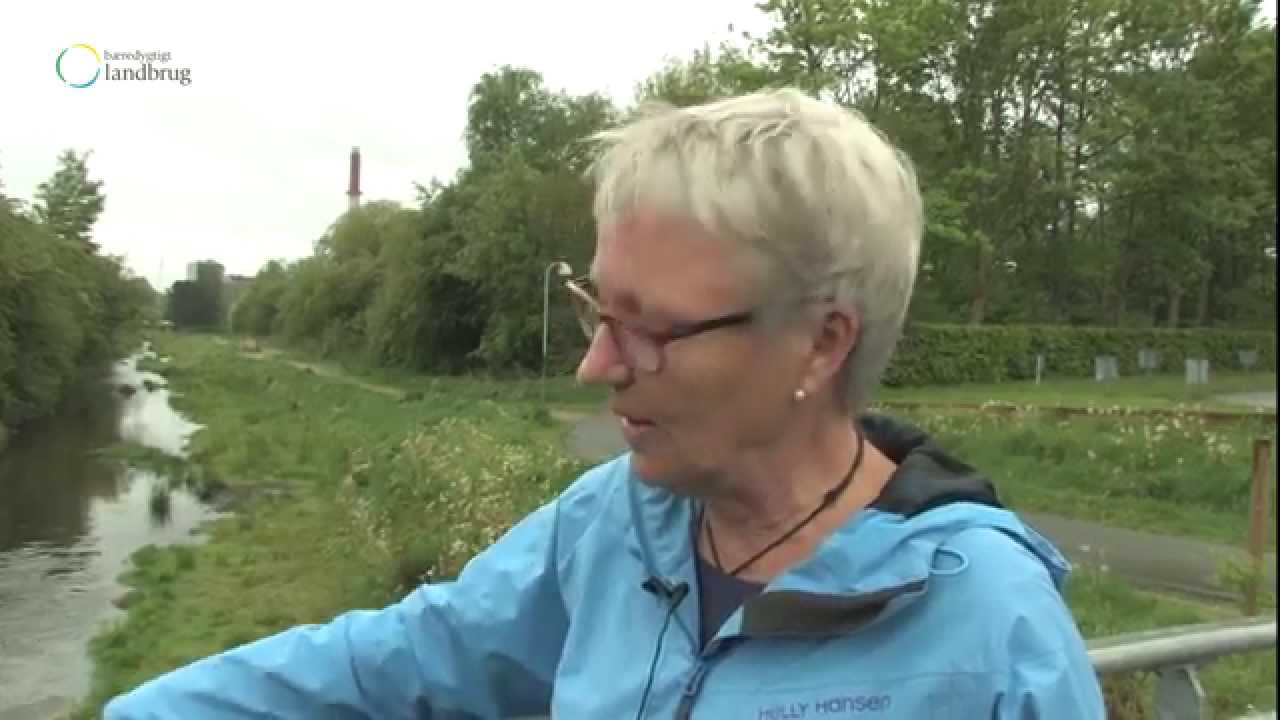 Dobbeltprofil vandløb i Kokkedal