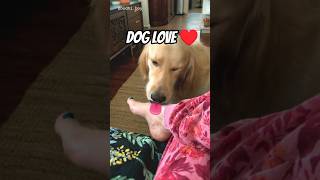 Your Dog’s LOVE Language ❤️ #shorts