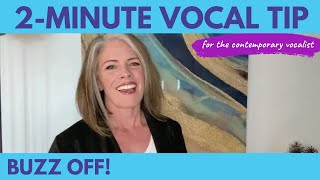 Buzz Off! - Find Your Mix Singing Voice screenshot 1