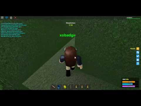 Finding Tibbers In The Maze In Horse Valley Beta Roblox Youtube