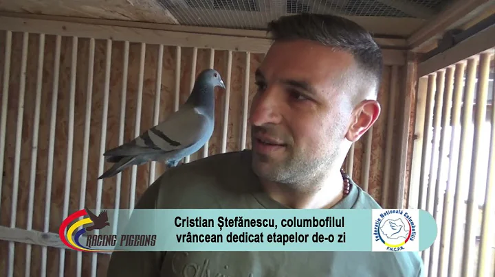 Cristian Stefanescu, columbofilul vrancean dedicat...