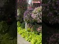 | পৃথিবী বিখ্যাত ফুলের বাগান |