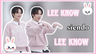 Stray Kids Lee Know siendo Lee Know 🐰💗