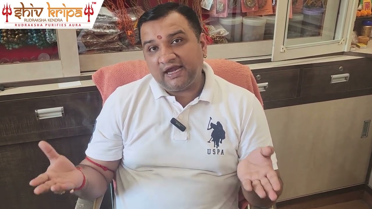 15 Mukhi Rudraksha Beads - Government Approved | Shiv Kirpa Rudraksha Kendra