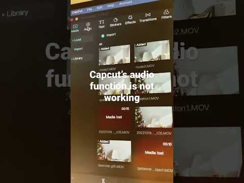 Capcut audio function is not working #issues #capcut #audio #bugs #loading