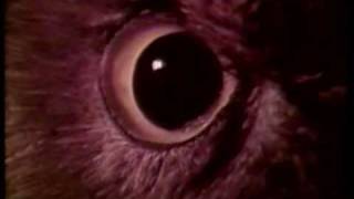 vintage higbee s commercial in slow motion