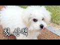총체적 난국 Feat 귀여움 대폭발 총체적 난국 Feat 귀여움 대폭발