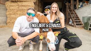 ENGELBERT & STRAUSS - PAZOO