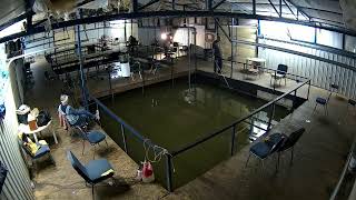 Crappie fishing live from Belle Starr Marina heated dock
