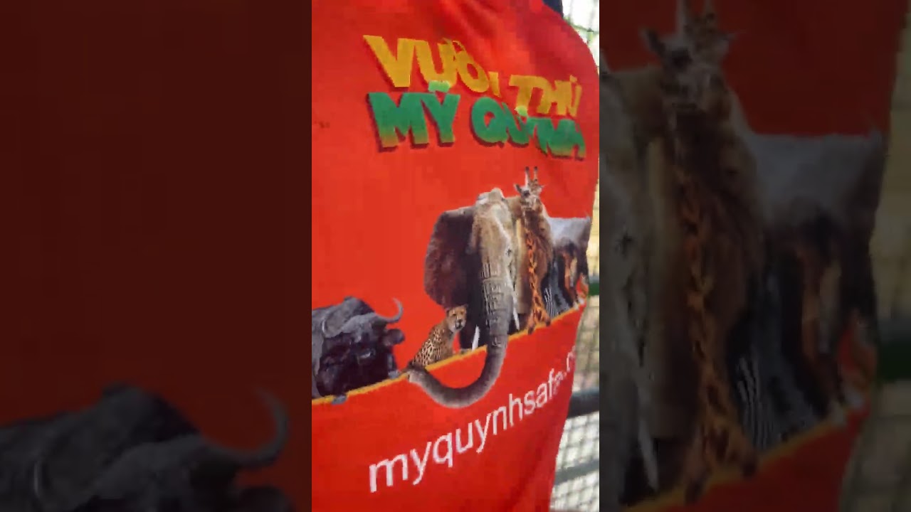 Nhốt người thả thú 😊