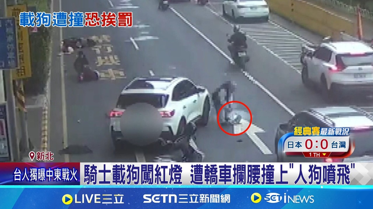 機車闖紅燈遭撞! 車上狗狗也噴飛嚇壞亂竄  帶狗出門